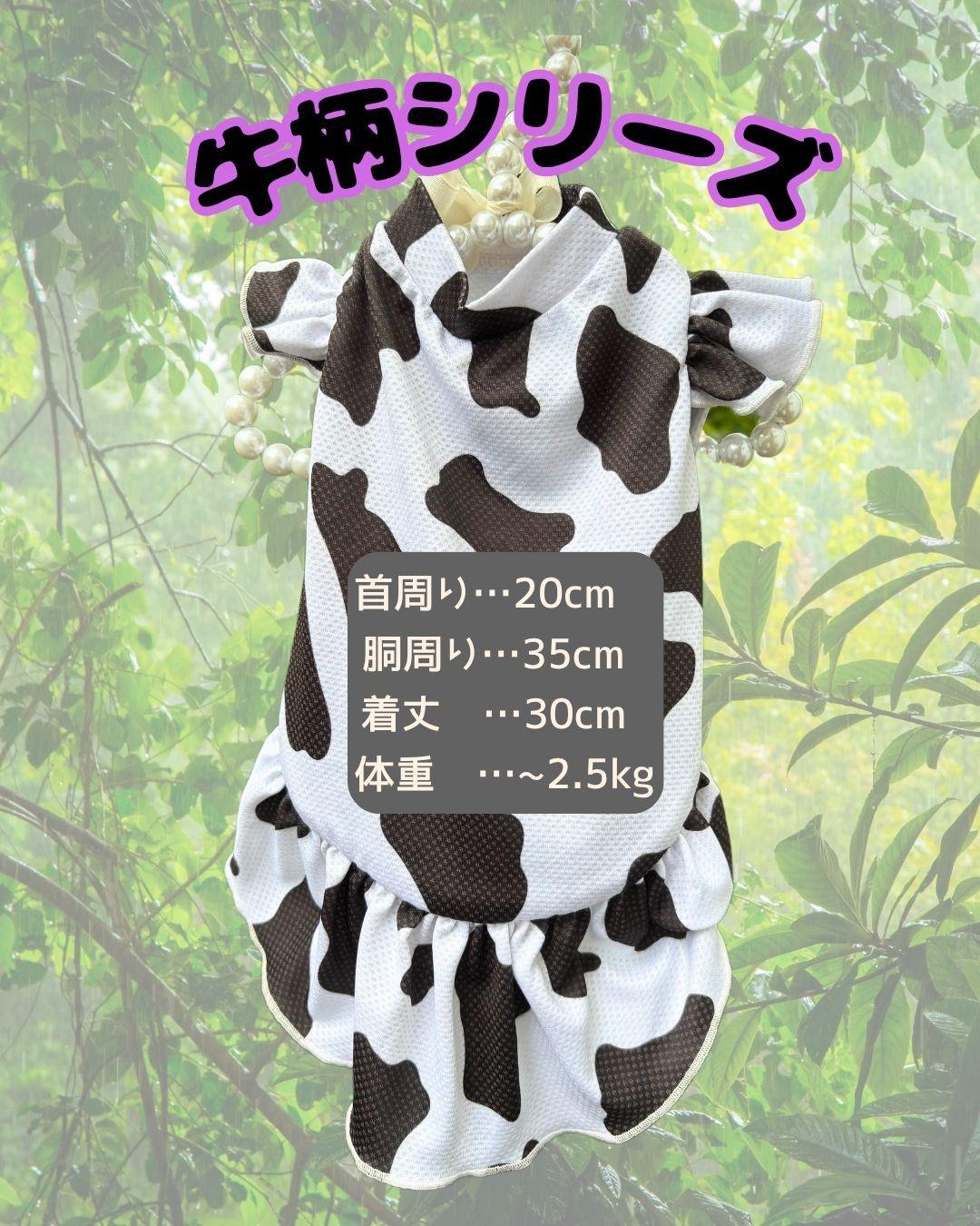 【完成品】　牛柄フリルSSサイズ　500円引きクーポンありの商品画像